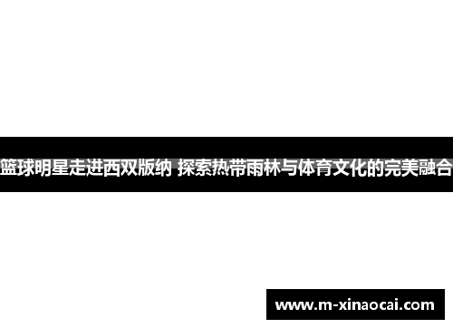 篮球明星走进西双版纳 探索热带雨林与体育文化的完美融合